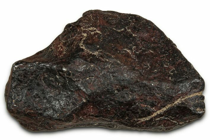 Canyon Diablo Iron Meteorite ( g) - Arizona #356014